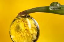 Trong nhà Phật, “lưới trời” chính là “quả báo“