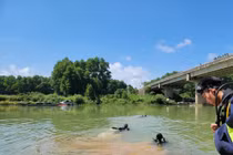 Quảng Trị: Đã tìm thấy thi thể nam thanh niên nhảy cầu Đuồi