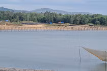 Đến xứ “hoa vàng cỏ xanh”, ngắm cây cầu gỗ dài nhất Việt Nam