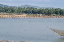 Đến xứ “hoa vàng cỏ xanh”, ngắm cây cầu gỗ dài nhất Việt Nam