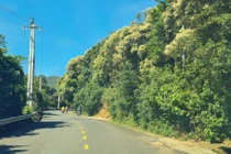 Chinh phục đỉnh Bàn Cờ, tọa độ check in siêu hot của giới trẻ