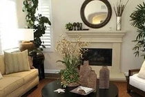 Đặt cây ở 3 vị trí này trong nhà để thu hút tài lộc 