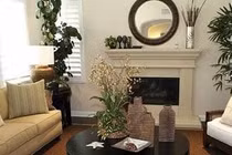 Đặt cây ở 3 vị trí này trong nhà để thu hút tài lộc 