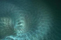 Trường điện tử giúp các nhà khoa học nghiên cứu về cái chết