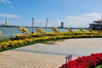 Tết Nguyên tiêu, đường hoa xuân Đà Nẵng vẫn “hot rần rần“