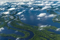 Dài 6.400km, vì sao không có cây cầu nào bắc qua sông Amazon?