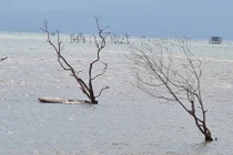 Khám phá “tuyệt tình cốc” đẹp nao lòng ở xứ Huế thơ mộng