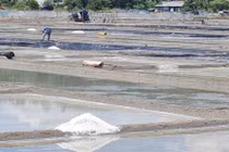 Thăm cánh đồng muối từng là điểm ngắm hoàng hôn đẹp nhất thế giới