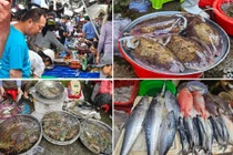 Độc đáo chợ hải sản “bao ngon” chỉ họp vào buổi chiều