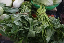 Sau trận mưa lịch sử ở Đà Nẵng, rau xanh tăng giá chóng mặt