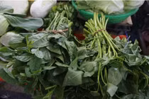 Sau trận mưa lịch sử ở Đà Nẵng, rau xanh tăng giá chóng mặt