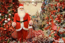 Hà Nội ngập tràn không khí Giáng sinh