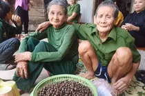 Xuyên đêm tìm kiếm cụ bà đi lạc trong rừng