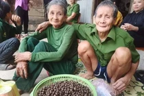 Xuyên đêm tìm kiếm cụ bà đi lạc trong rừng