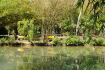 Lạc vào “bảo tàng” tre trúc lớn nhất miền Trung 