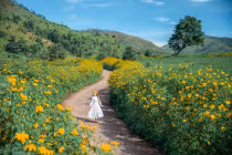 Nhiều loài cây "đổi phận" nhờ du lịch