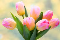 Tháng 8 Âm lịch, 3 con giáp tài lộc chói sáng, tình yêu viên mãn 