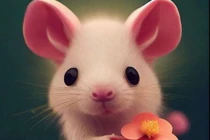 Từ 30/1, ba con giáp gặp nhiều may mắn, tài lộc đổ về