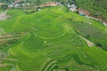 Chiêm ngưỡng những thửa ruộng bậc thang tuyệt đẹp xứ Thanh
