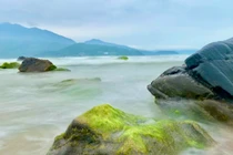 Huyền ảo vẻ đẹp ghềnh đá Nam Ô mùa rêu xanh