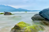 Huyền ảo vẻ đẹp ghềnh đá Nam Ô mùa rêu xanh