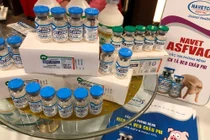 Phú Yên: Heo đổ bệnh, chết hàng loạt sau tiêm vắc xin của NAVETCO 