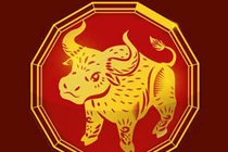 Từ 2024-2028: 3 tuổi rũ sạch tai ương, tiền vào như nước