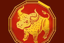 Từ 2024-2028: 3 tuổi rũ sạch tai ương, tiền vào như nước