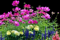 Sinh vào 3 tháng Âm lịch này là người nhân hậu, an nhàn