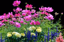 Sinh vào 3 tháng Âm lịch này là người nhân hậu, an nhàn