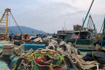 Toàn cảnh hoạt động của cảng cá lớn nhất miền Trung