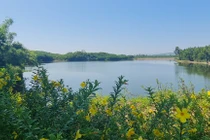 Khám phá tuyến đường đô thị duy nhất tại Việt Nam không có nhà ở