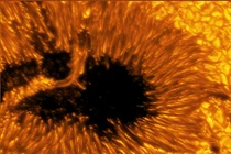 Các bức ảnh chụp vết đen Mặt Trời cho thấy dòng plasma