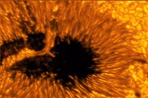Các bức ảnh chụp vết đen Mặt Trời cho thấy dòng plasma