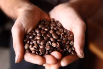 Uống cà phê trước khi tập luyện, lợi ích bất ngờ 