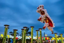 Đến đất võ Quy Nhơn, xem đấu Lân Sư Rồng