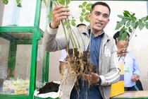 Lễ hội sâm Ngọc Linh Quảng Nam: Xuất hiện cây sâm “khủng” 20 năm tuổi được rao bán gần tỷ đồng