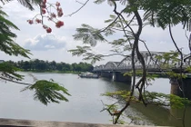 Chiêm ngưỡng cây cầu nhiều lần gãy nhịp nhất Việt Nam