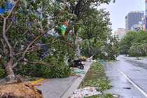 Hình ảnh mới nhất tại Đà Nẵng khi bão Noru đi qua