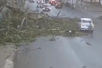 Khoảnh khắc cây đa cổ thụ gãy nhánh, đè trúng người đi xe máy