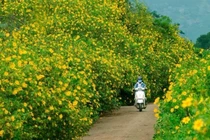 Sống chậm để khám phá vẻ đẹp của mùa đẹp nhất năm