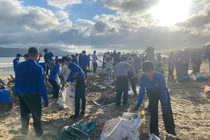 Đà Nẵng: Huy động hàng nghìn người dọn rác dạt vào bãi biển 