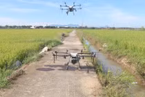 Đà Nẵng: Xem trình diễn thiết bị bay không người lái phun phân bón