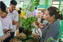 Lễ hội sâm Ngọc Linh: 3 ngày thu được gần 9,5 tỷ đồng 