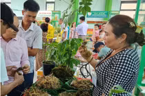 Lễ hội sâm Ngọc Linh: 3 ngày thu được gần 9,5 tỷ đồng 