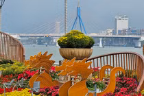 Muôn vẻ linh vật rồng Đà Nẵng