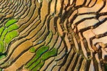 Ruộng bậc thang Tu Mơ Rông đẹp lung linh mùa nước đổ