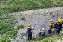 Đà Nẵng: Cá chết hàng loạt nổi trắng hồ Liên Chiểu