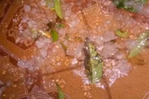 Mưa đá xuất hiện ở vùng núi Thanh Hóa 