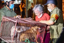 Cận cảnh tổ đội bắt chó thả rông ở Hà Nội